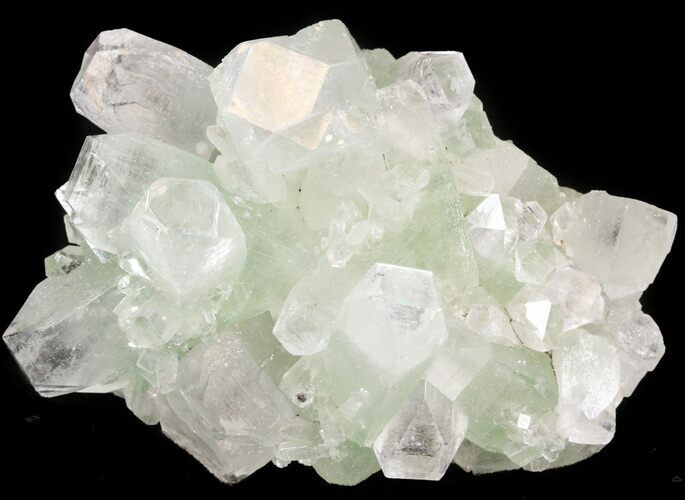 Zoned Apophyllite Crystal Cluster - India #44335